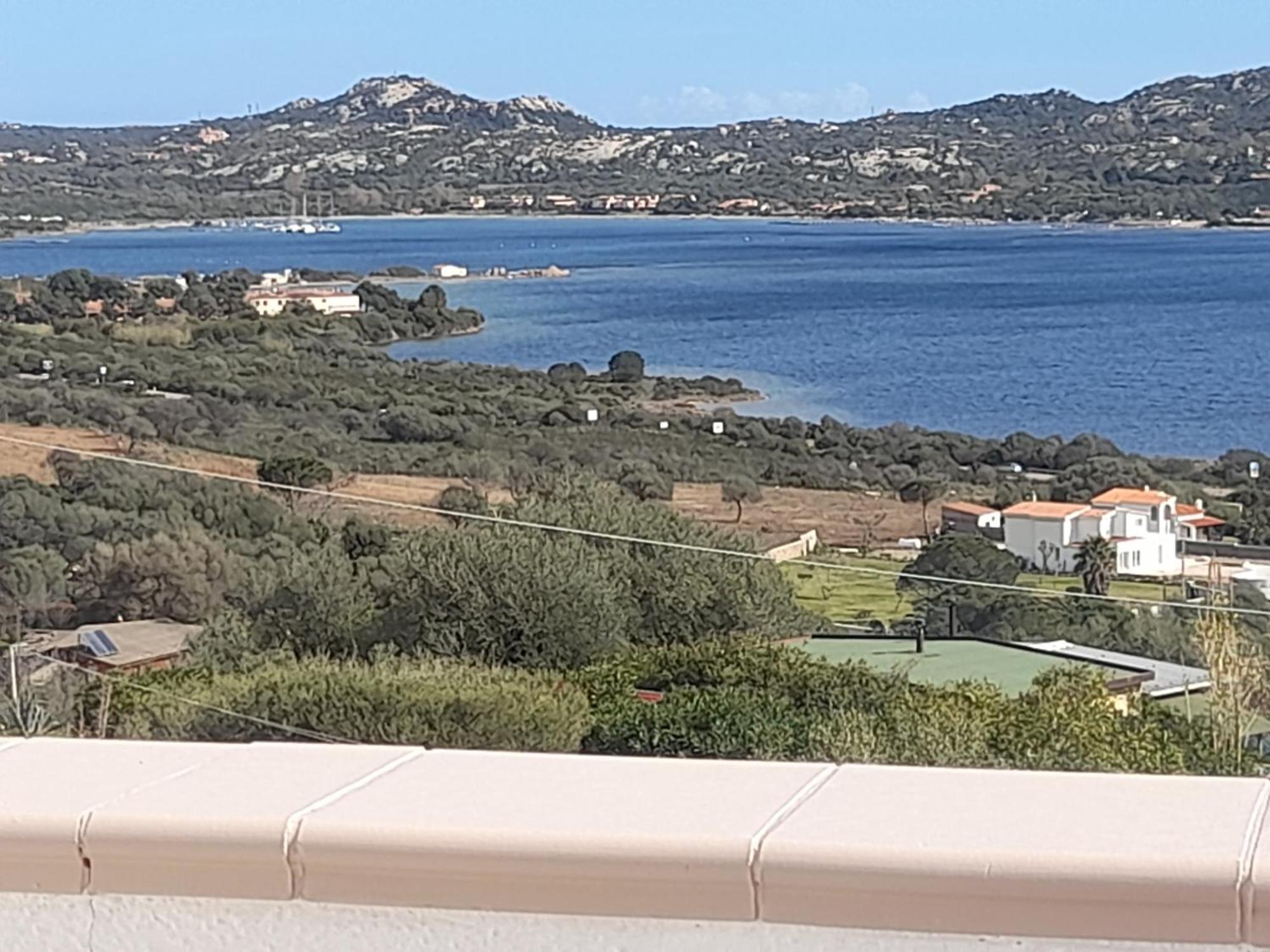 Ginepro Olbia